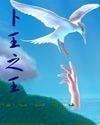 白孔雀