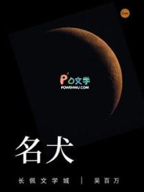高枝难攀免费阅读