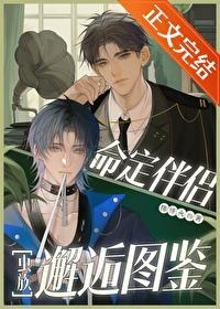 岁至什么意思