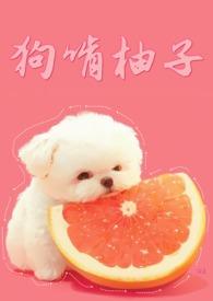 捡到偏执傻子后笔趣阁