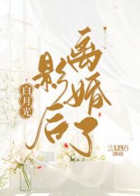 我要看奇门医圣的4097集