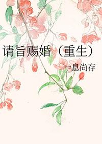 我的白狐殿下免费阅读