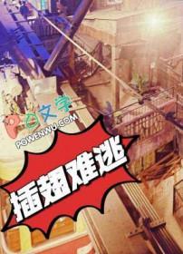 宇智波幸综sonata